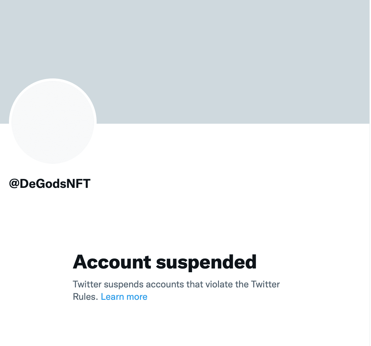 DeGods, Y00ts and NFT Team Twitter Accounts Suspended!