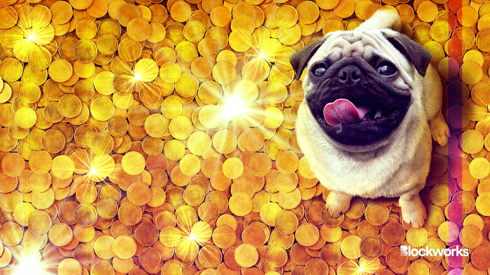 Dog coins are back: BONK leads Dogecoin, Floki and Shiba with 1400% rally